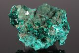 Gemmy Dioptase Crystal Cluster #175953-1
